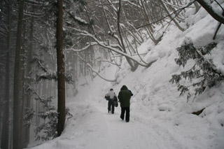雪景色 冬 長野 地獄谷野猿公苑(猿温泉 snow monkey) 雪景色 冬 長野 地獄谷野猿公苑(猿温泉 snow monkey)